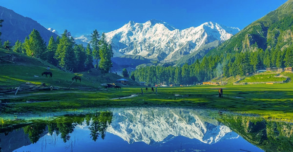 13 Days Fairy Meadows Trek with Rama Lake and Skardu Sight Seeing Tour