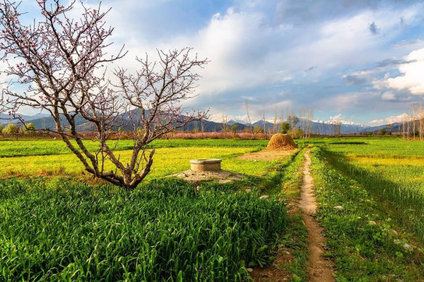 7 Days 2026 Luxury Tour Package to Swat Valley Pakistan