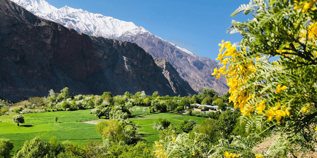 Chitral Valley Tour: Why You Should Go?